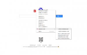 搜索链接SEO信息 Chrome插件