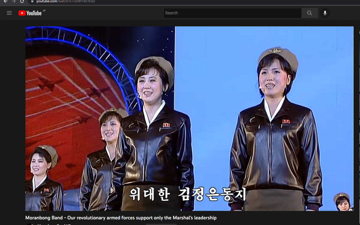 DPRK style caption for Youtube caption Chrome 插件