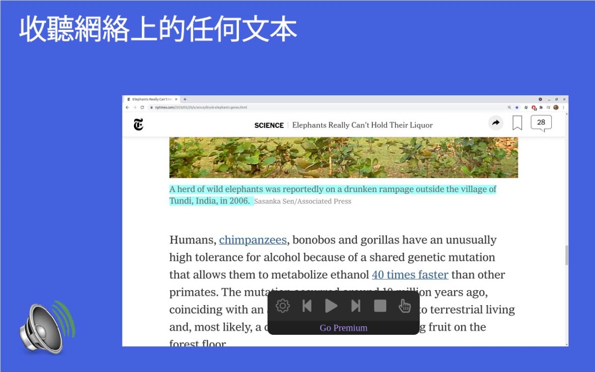 Troubadour插件,网页文本转语音朗读工具